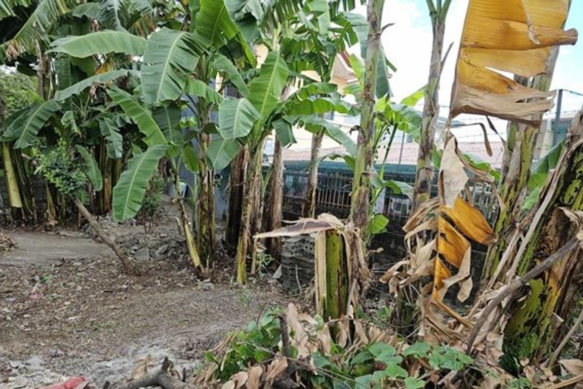 Land for Sale in Manuyo Dos, Las Piñas, Metro Manila – photo 3