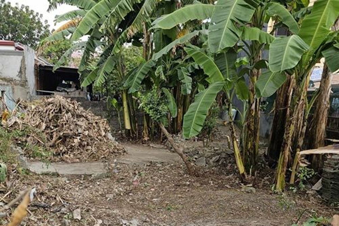 Land for Sale in Manuyo Dos, Las Piñas, Metro Manila – photo 4