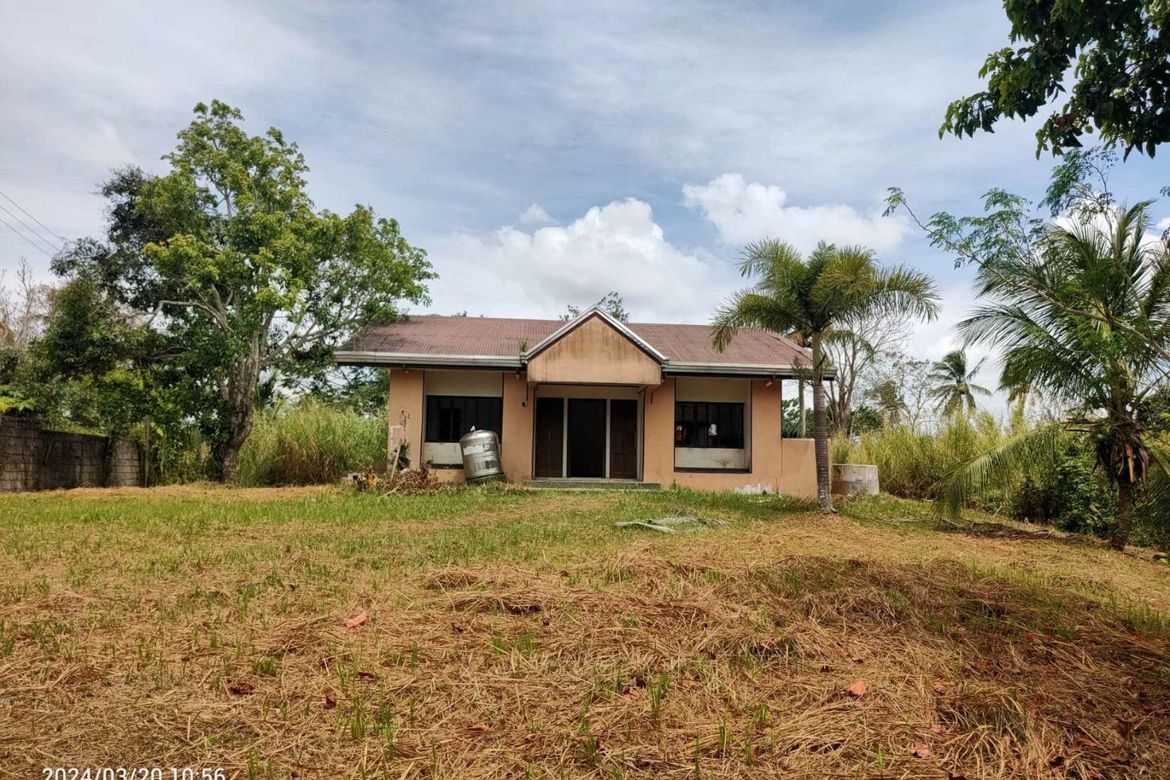 Land for Sale in Marahan I, Alfonso, Cavite – photo 4
