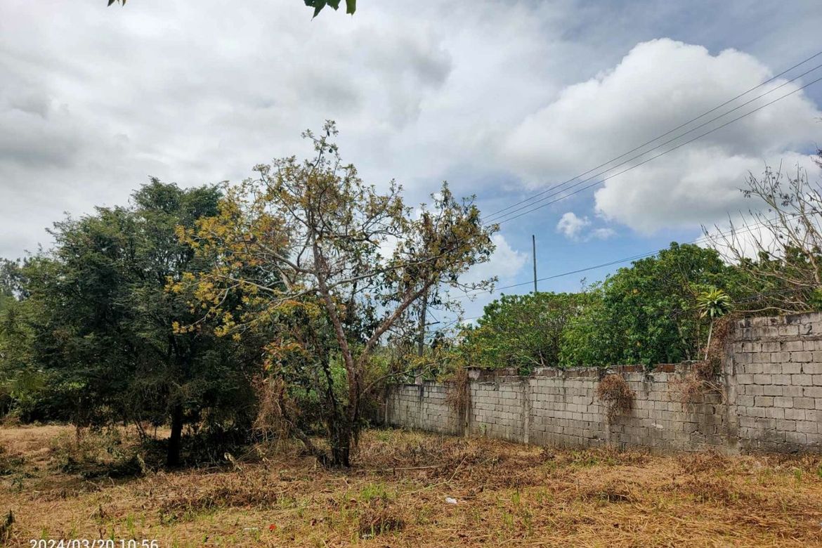 Land for Sale in Marahan I, Alfonso, Cavite – photo 5