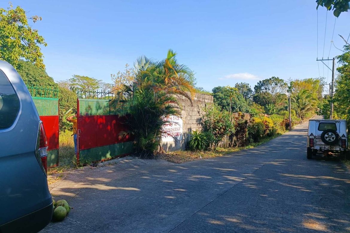 Land for Sale in Marahan I, Alfonso, Cavite – photo 8