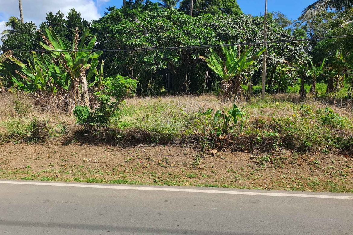 Land for Sale in Marahan I, Alfonso, Cavite