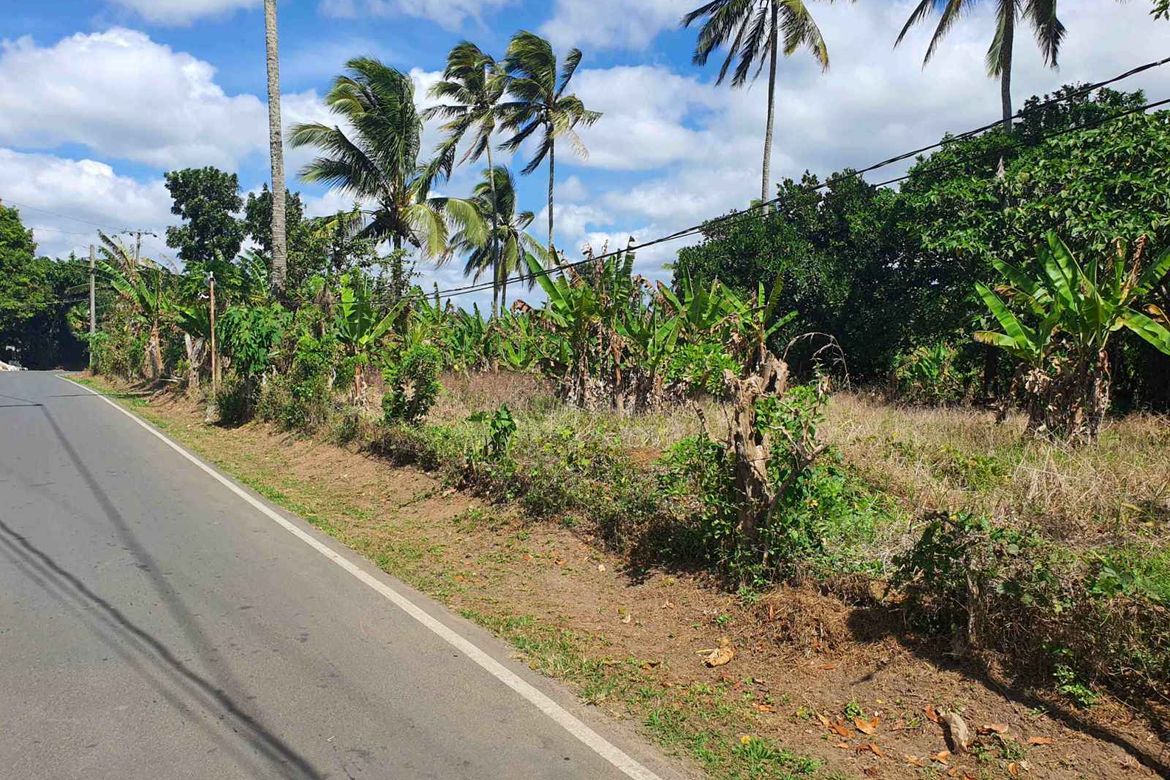 Land for Sale in Marahan I, Alfonso, Cavite – photo 2