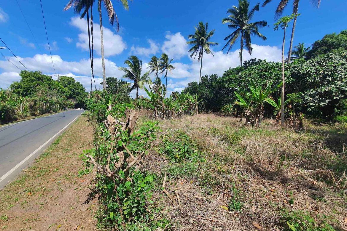 Land for Sale in Marahan I, Alfonso, Cavite – photo 4