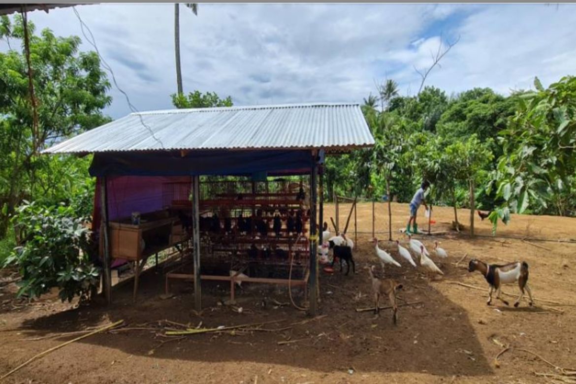 Land for Sale in Marahan I, Alfonso, Cavite – photo 5