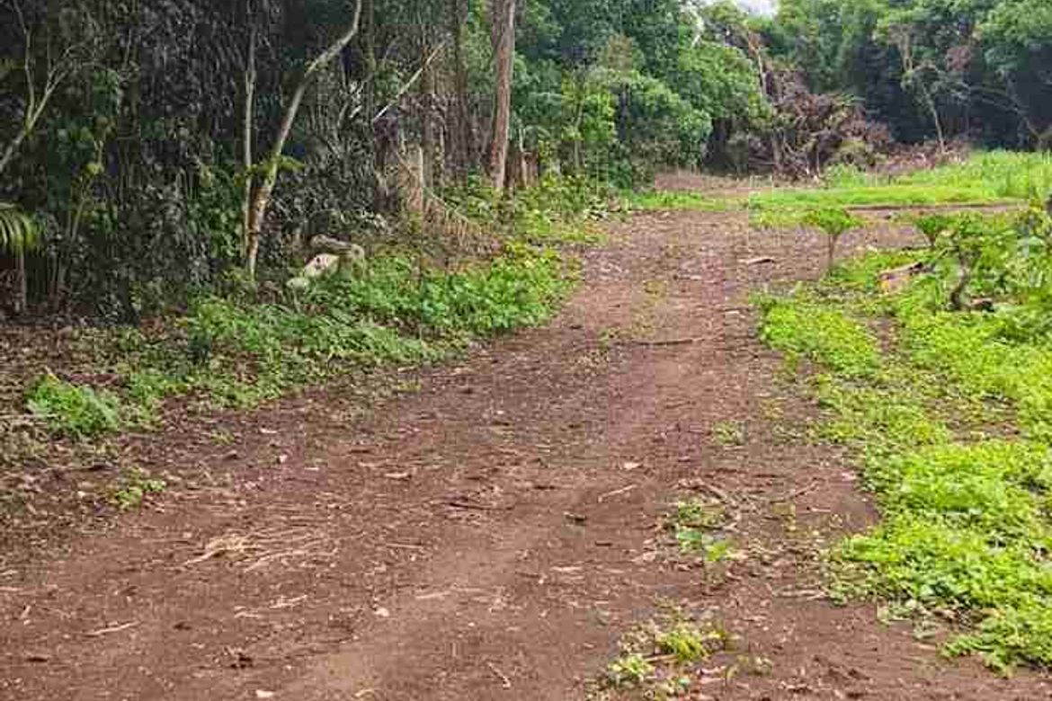 Land for Sale in Marahan II, Alfonso, Cavite