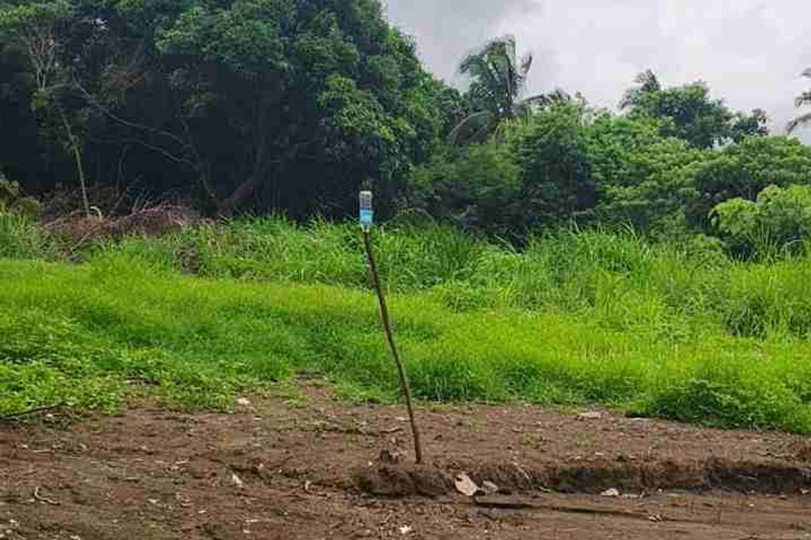 Land for Sale in Marahan II, Alfonso, Cavite – photo 2