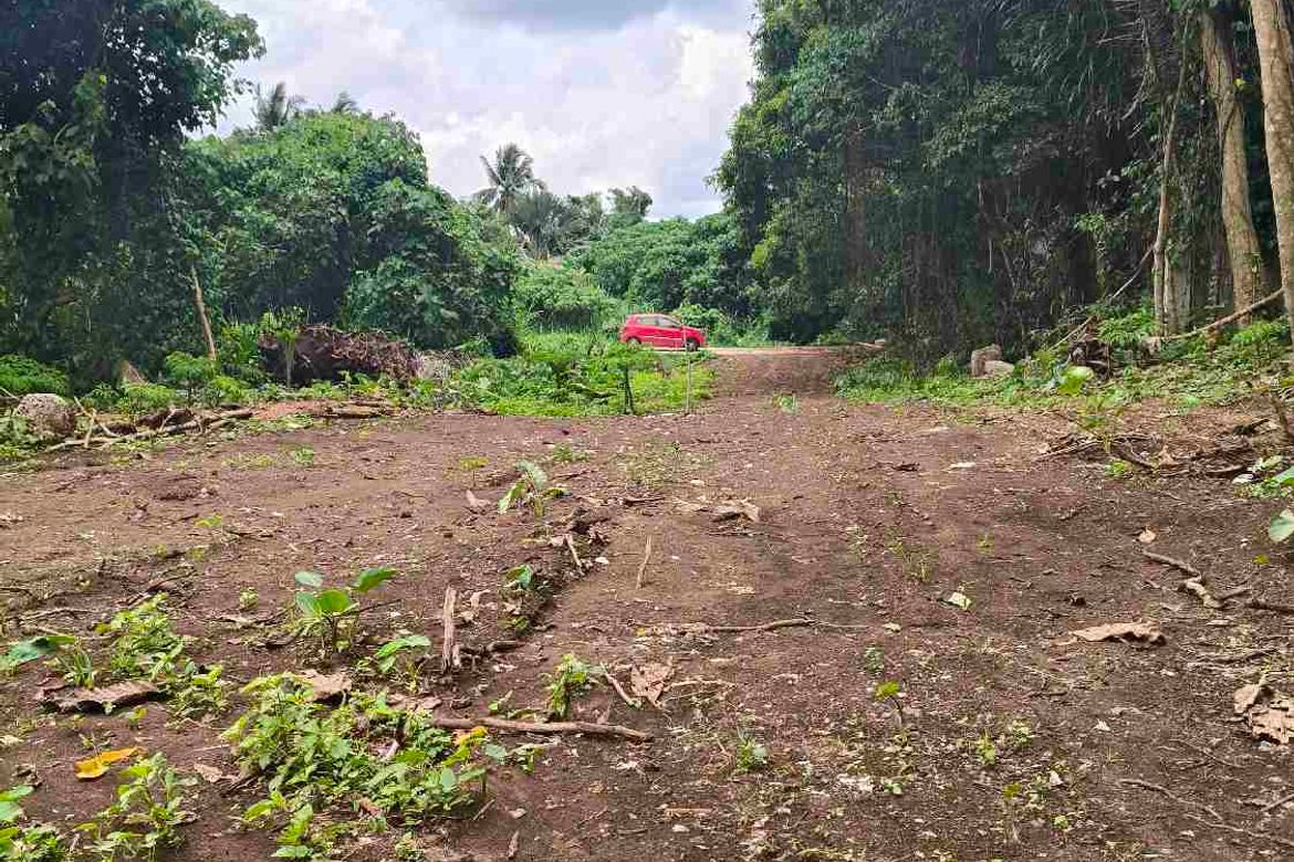 Land for Sale in Marahan II, Alfonso, Cavite – photo 3
