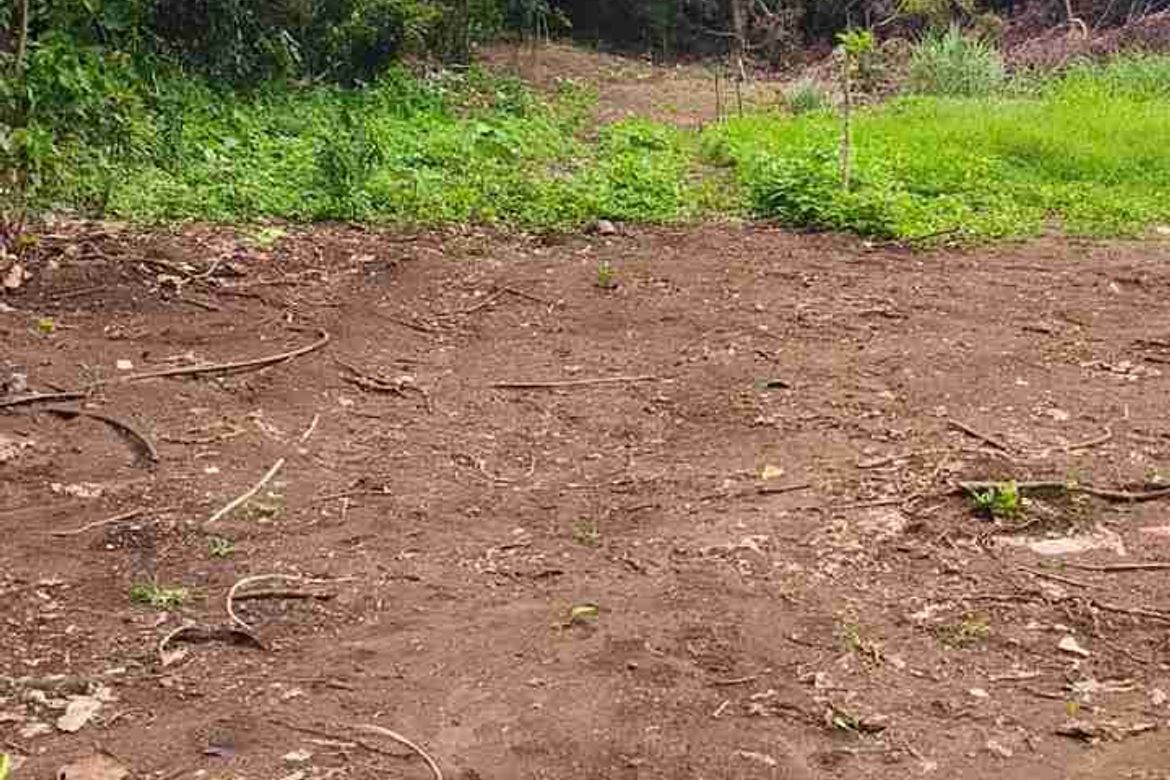 Land for Sale in Marahan II, Alfonso, Cavite – photo 4