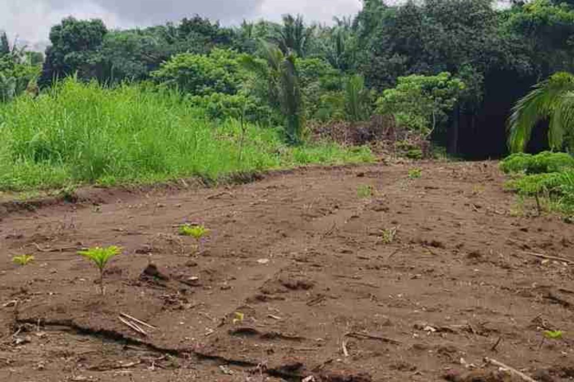 Land for Sale in Marahan II, Alfonso, Cavite – photo 5
