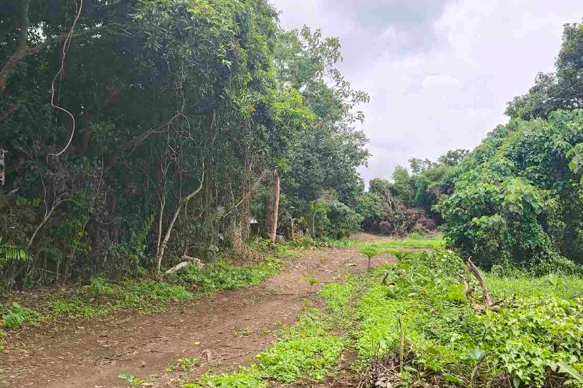 Land for Sale in Marahan II, Alfonso, Cavite – photo 6