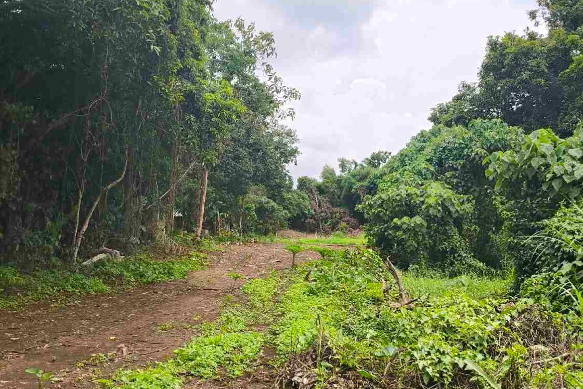 Land for Sale in Marahan II, Alfonso, Cavite – photo 7