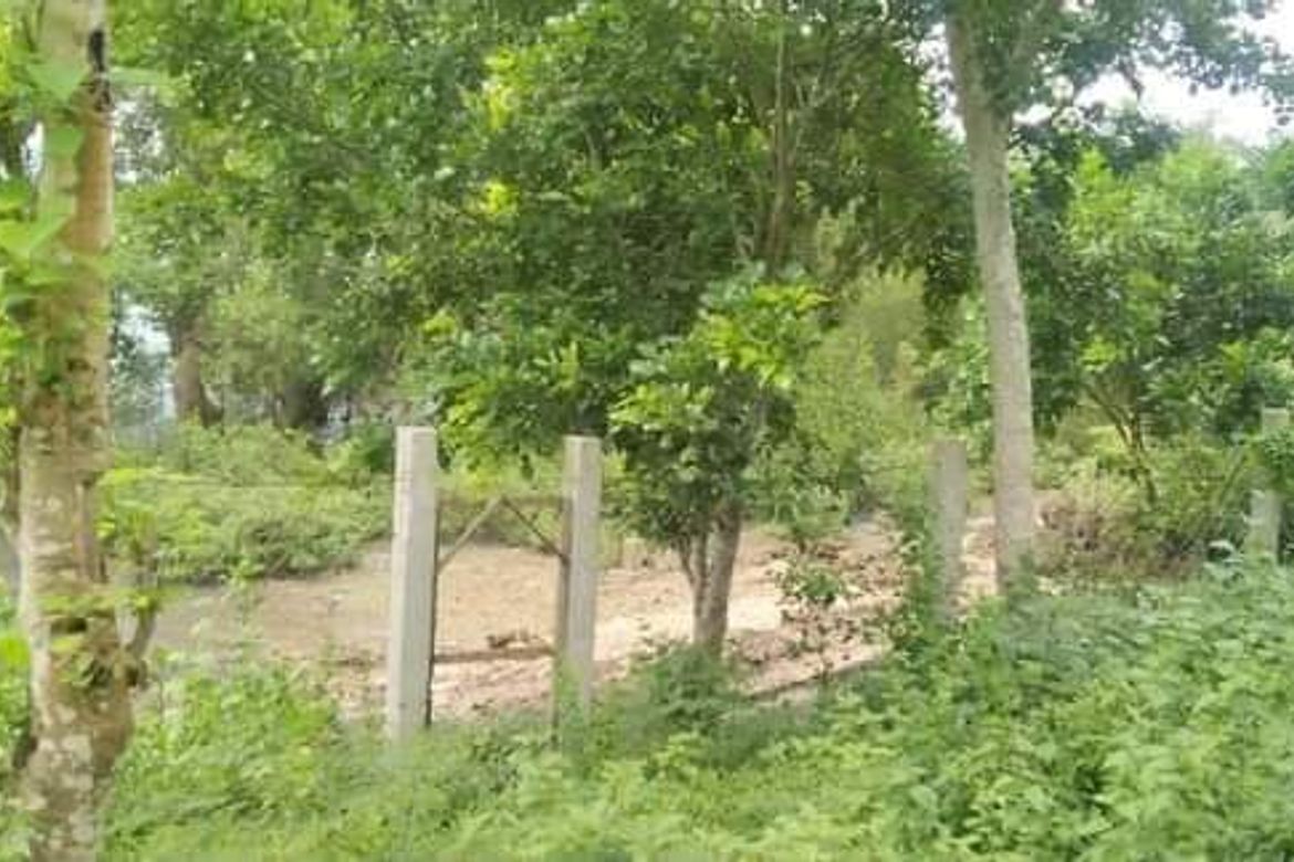 Land for Sale in Maravilla, Tabuelan, Cebu – photo 5