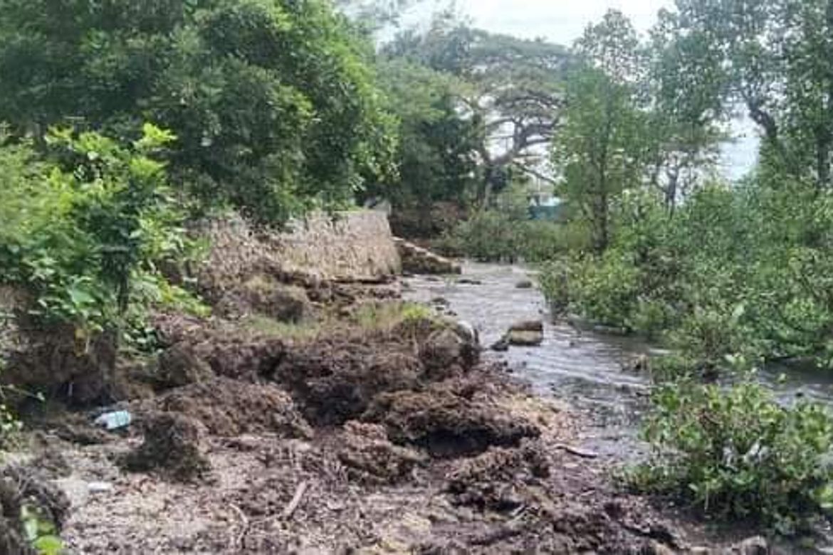 Land for Sale in Maravilla, Tabuelan, Cebu – photo 7