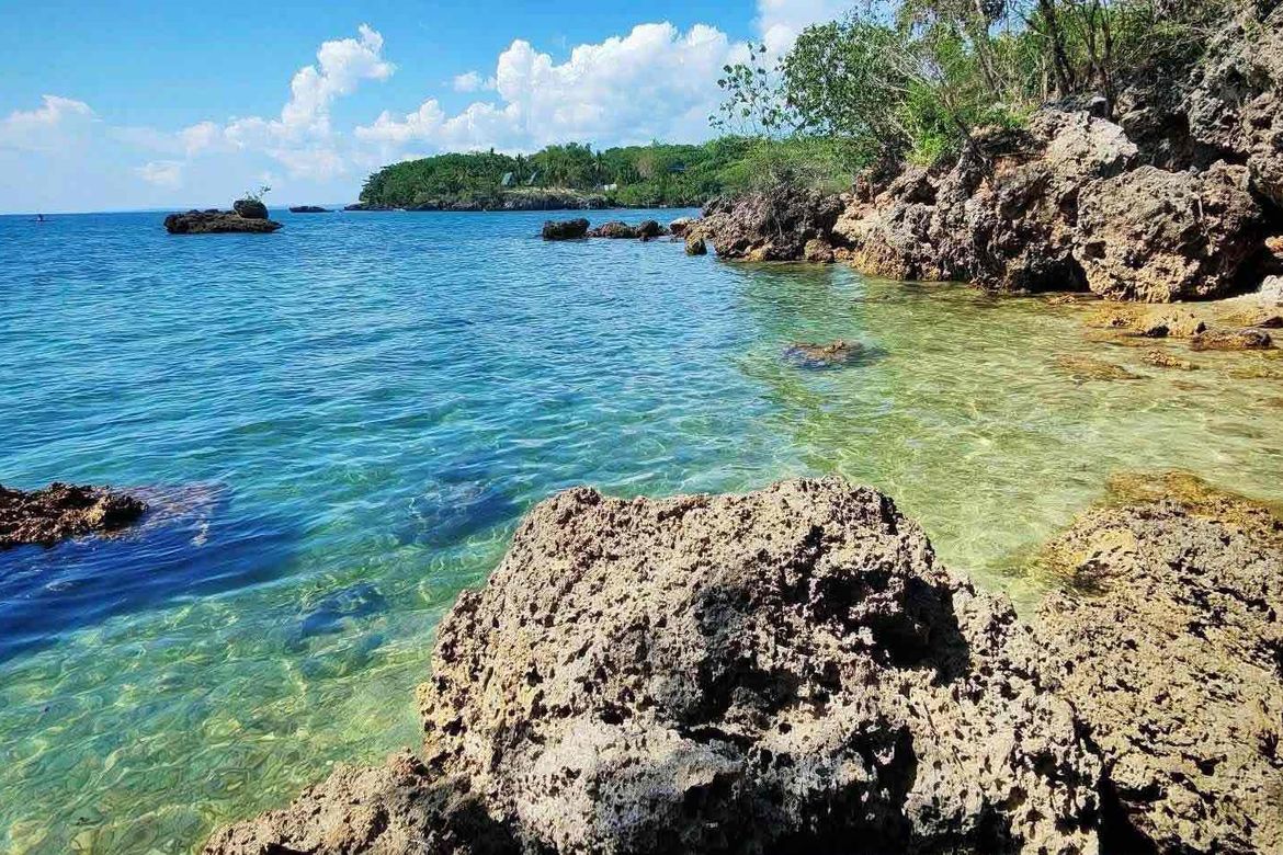 Land for Sale in Maravilla, Tabuelan, Cebu – photo 2