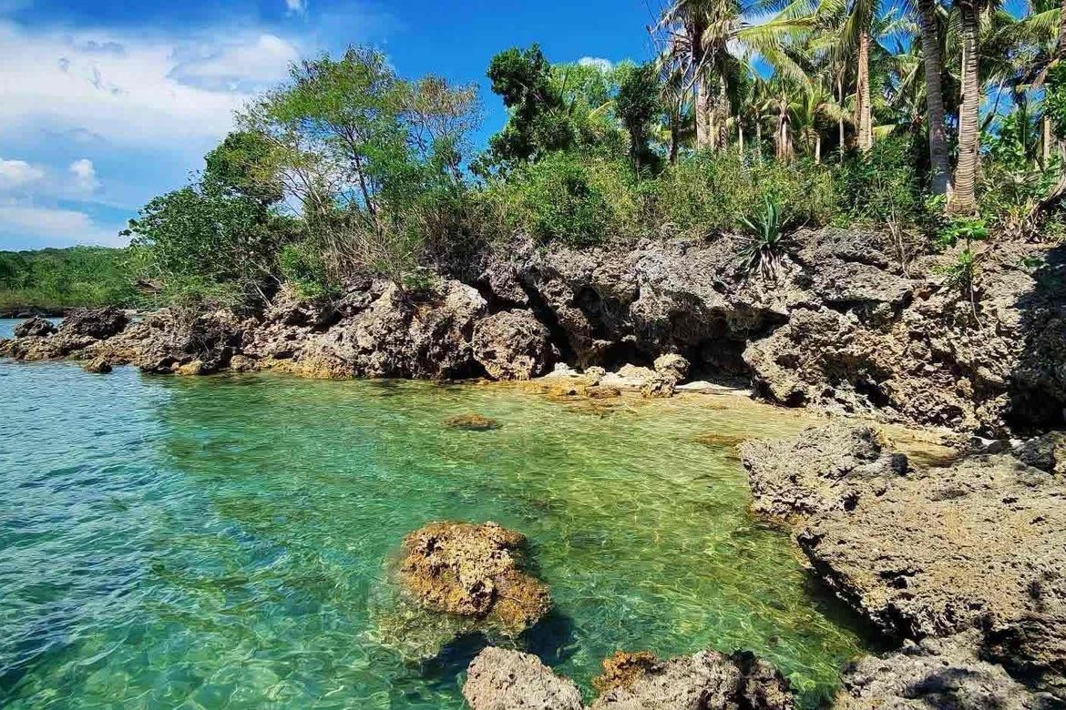 Land for Sale in Maravilla, Tabuelan, Cebu – photo 4