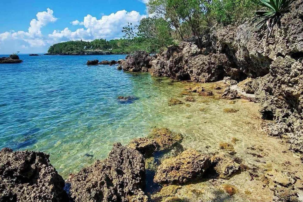 Land for Sale in Maravilla, Tabuelan, Cebu – photo 7