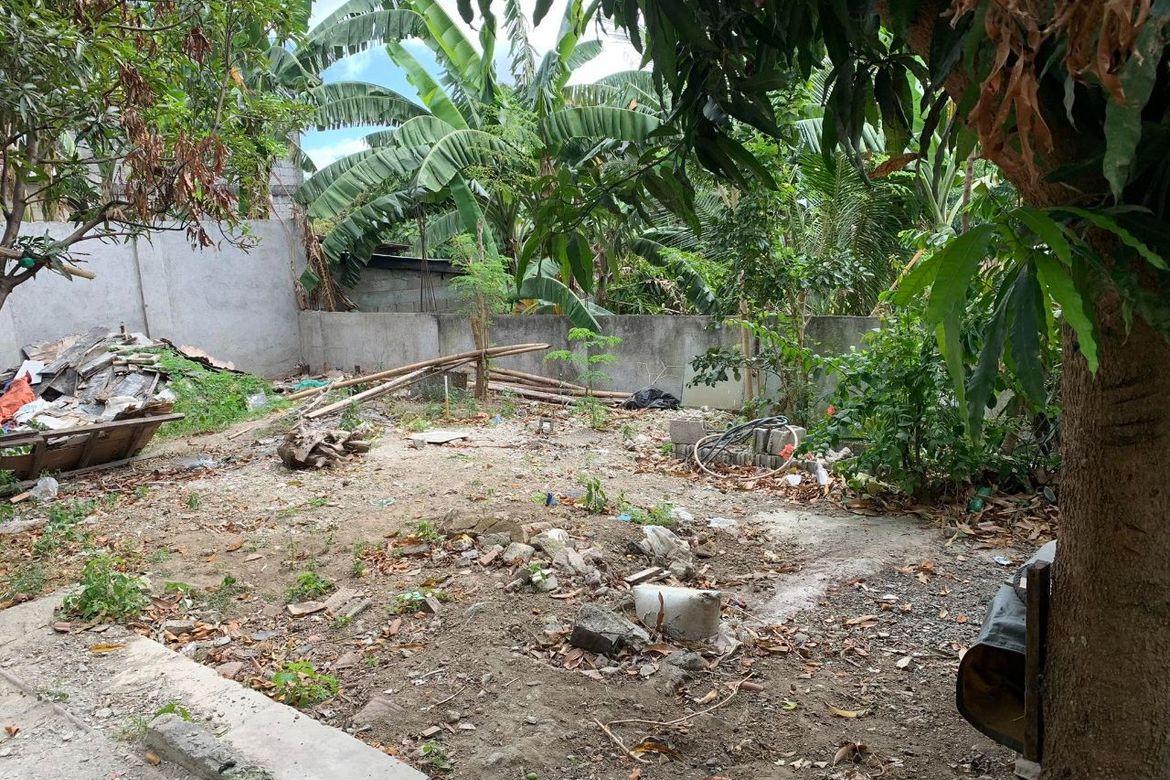 Land for Sale in Marcelino Memije, General Mariano Alvarez, Cavite – photo 2