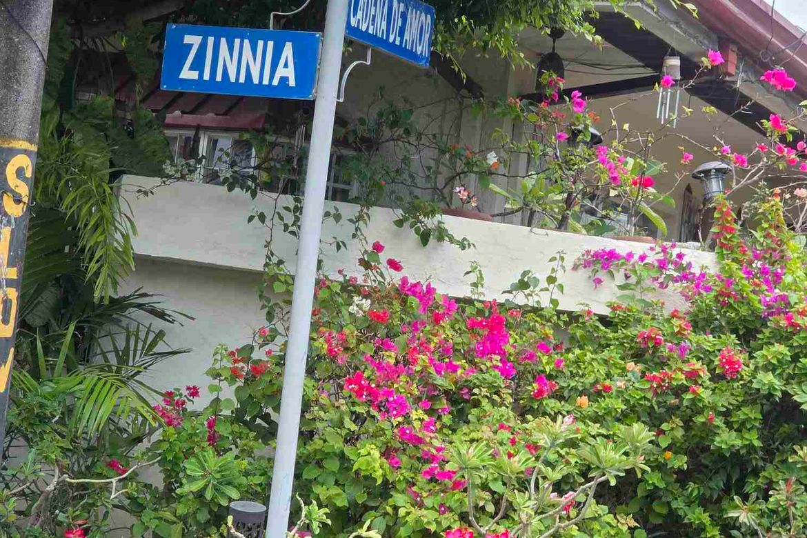 Land for Sale in Marcelo Green Village, Parañaque, Metro Manila