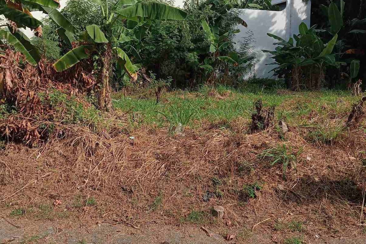 Land for Sale in Marcelo Green Village, Parañaque, Metro Manila – photo 5