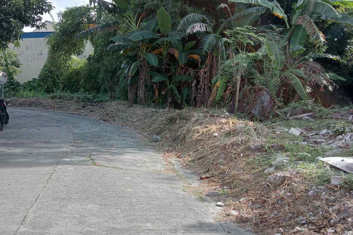 Land for Sale in Marcelo Green Village, Parañaque, Metro Manila – photo 6