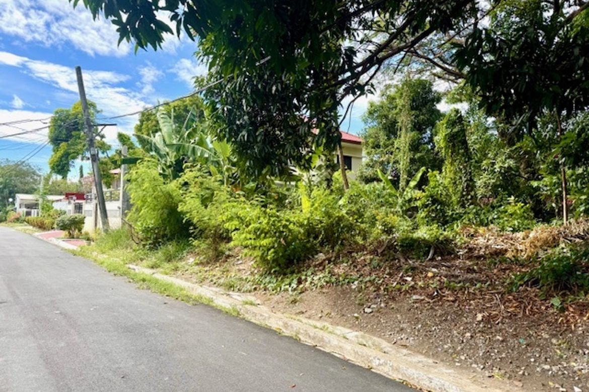 Land for Sale in Marcelo Green Village, Parañaque, Metro Manila – photo 3