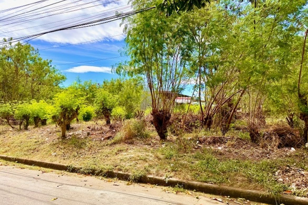 Land for Sale in Marcelo Green Village, Parañaque, Metro Manila