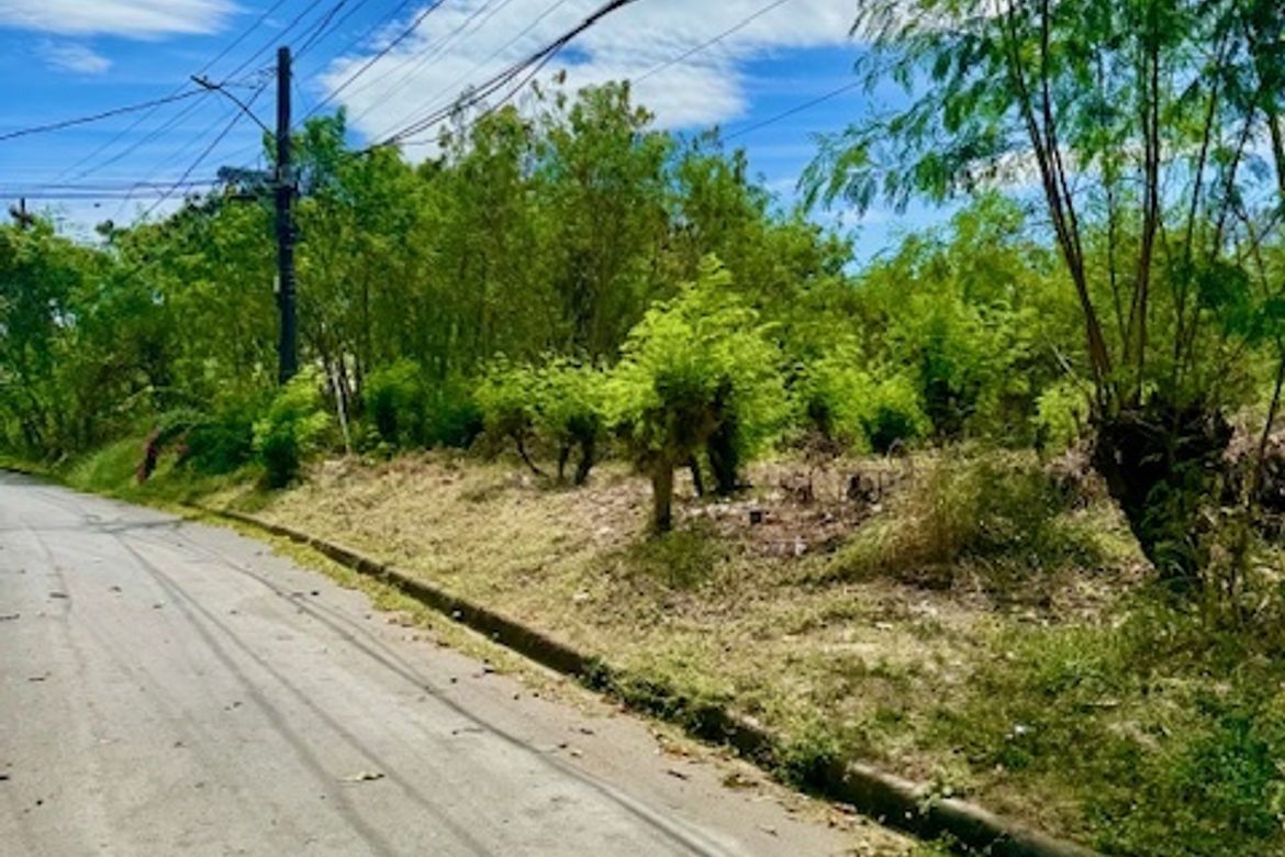 Land for Sale in Marcelo Green Village, Parañaque, Metro Manila – photo 3
