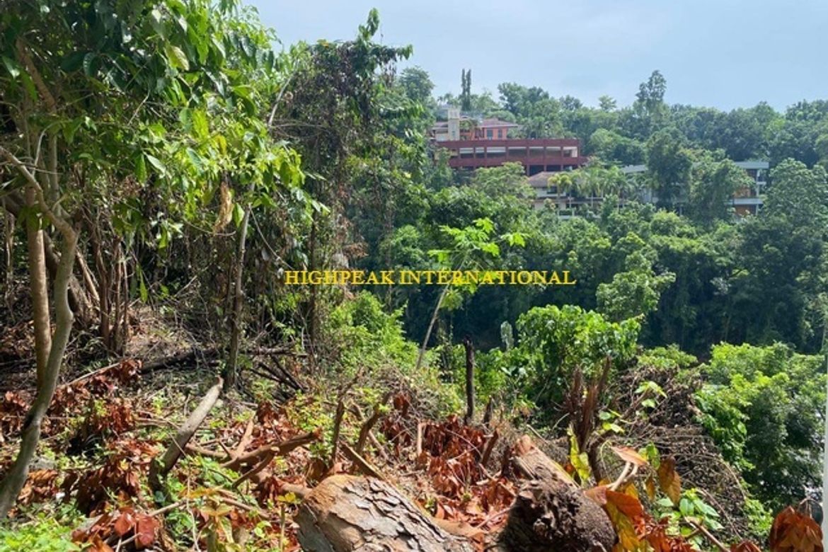 Land for Sale in Maria Luisa Estate Park, Banilad, Cebu City, Cebu