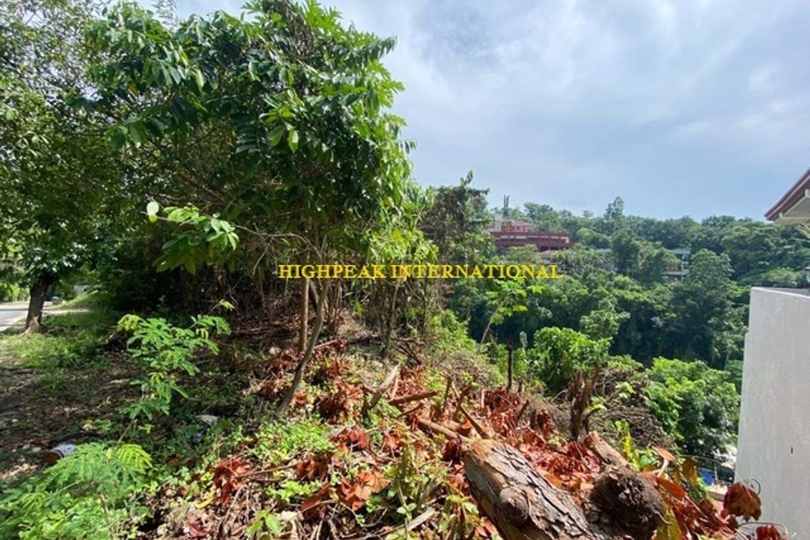 Land for Sale in Maria Luisa Estate Park, Banilad, Cebu City, Cebu – photo 2