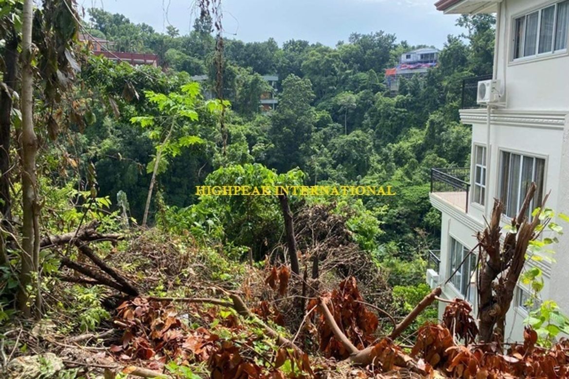 Land for Sale in Maria Luisa Estate Park, Banilad, Cebu City, Cebu – photo 4