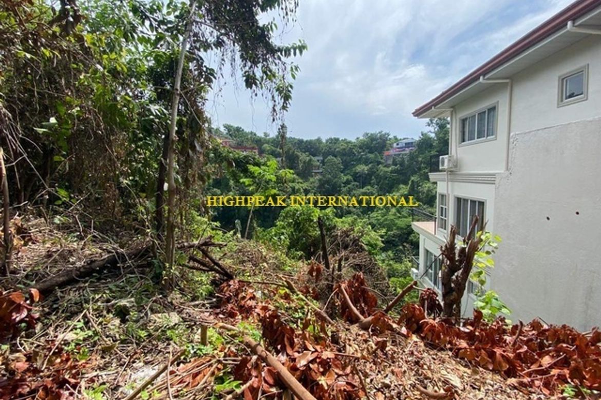 Land for Sale in Maria Luisa Estate Park, Banilad, Cebu City, Cebu – photo 5