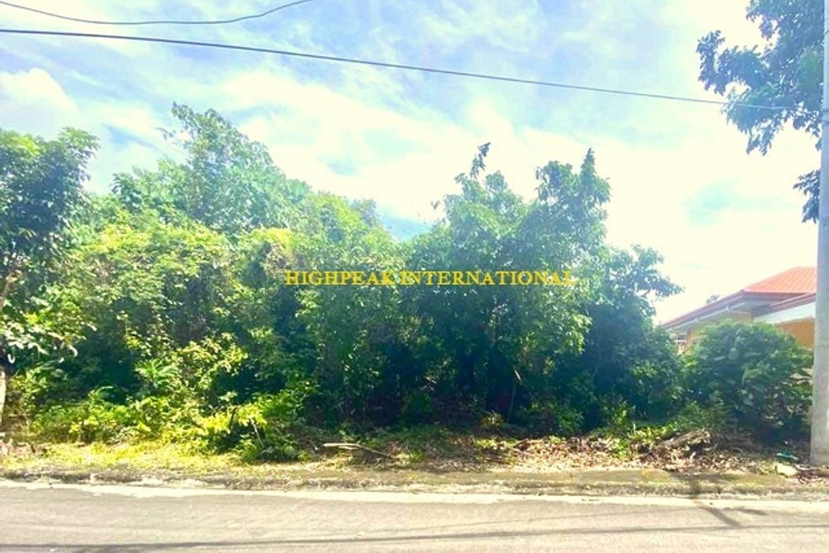 Land for Sale in Maria Luisa Estate Park, Banilad, Cebu City, Cebu – photo 7