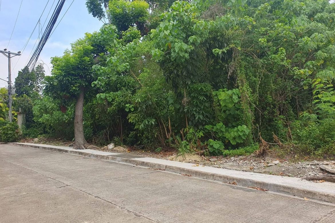 Land for Sale in Maria Luisa Estate Park, Banilad, Cebu City, Cebu – photo 2