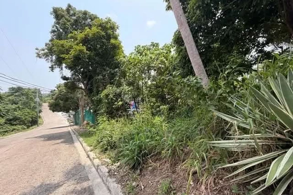 Land for Sale in Maria Luisa Estate Park, Banilad, Cebu City, Cebu