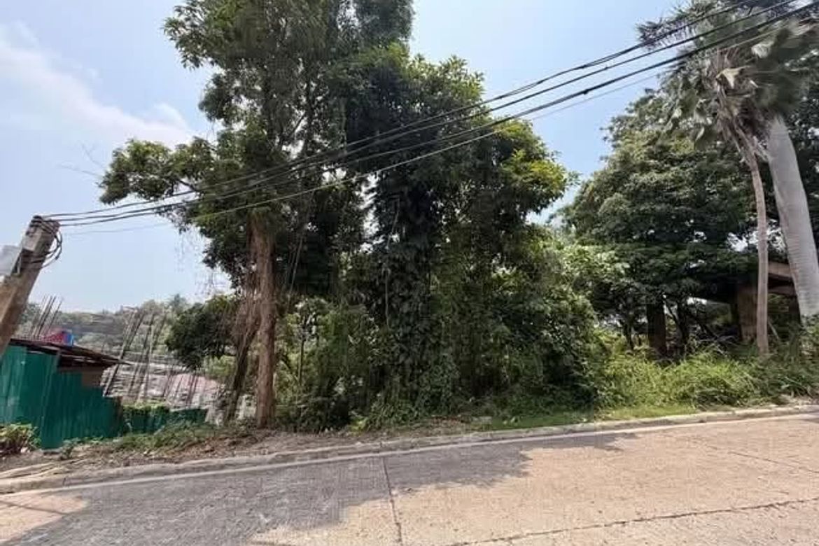 Land for Sale in Maria Luisa Estate Park, Banilad, Cebu City, Cebu – photo 4