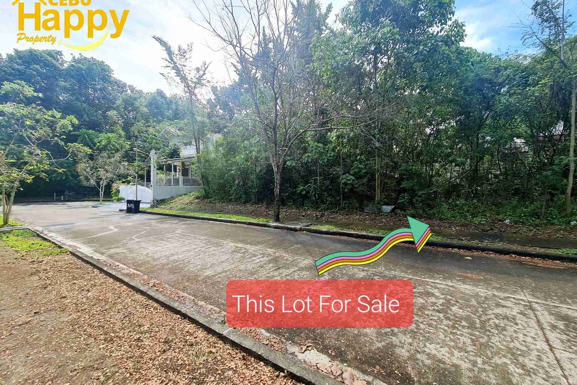 Land for Sale in MARIA LUISA NORTH -THE HERITAGE, Adlaon, Cebu City, Cebu – photo 3