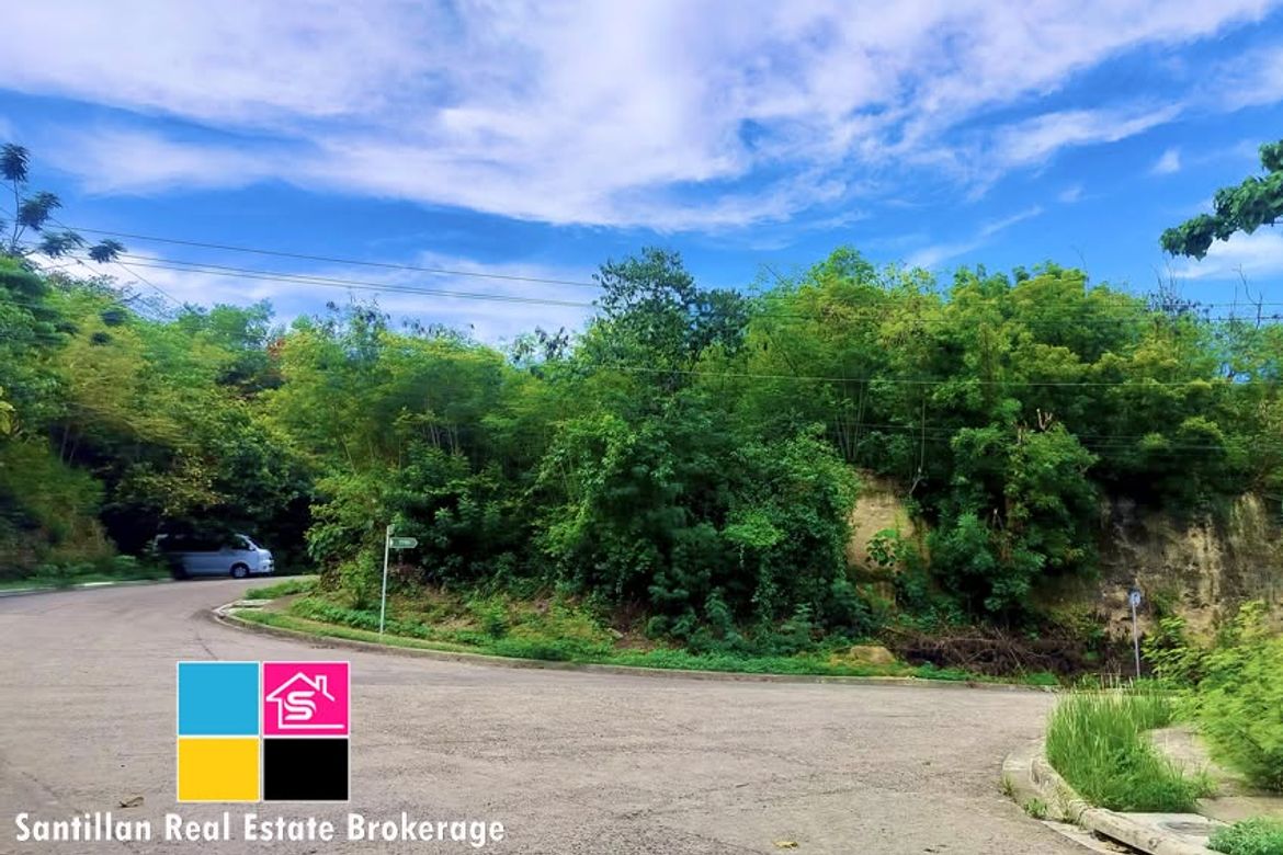 Land for Sale in MARIA LUISA NORTH -THE HERITAGE, Adlaon, Cebu City, Cebu – photo 2