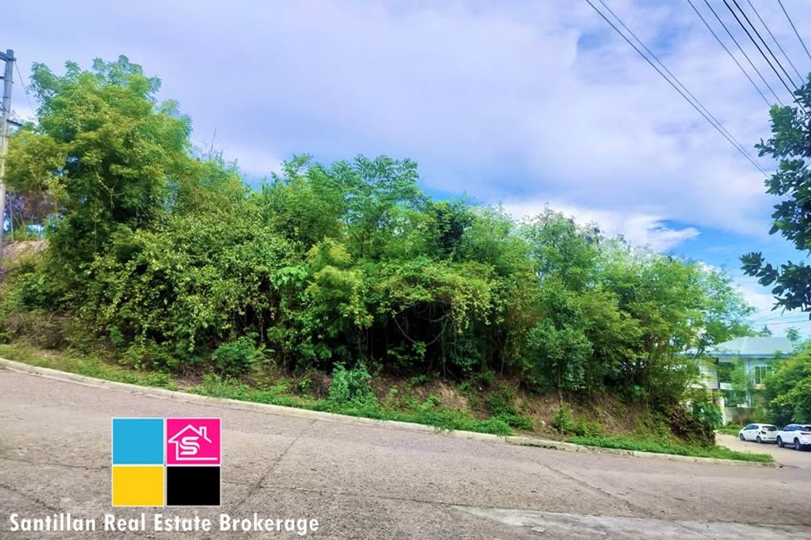 Land for Sale in MARIA LUISA NORTH -THE HERITAGE, Adlaon, Cebu City, Cebu – photo 5