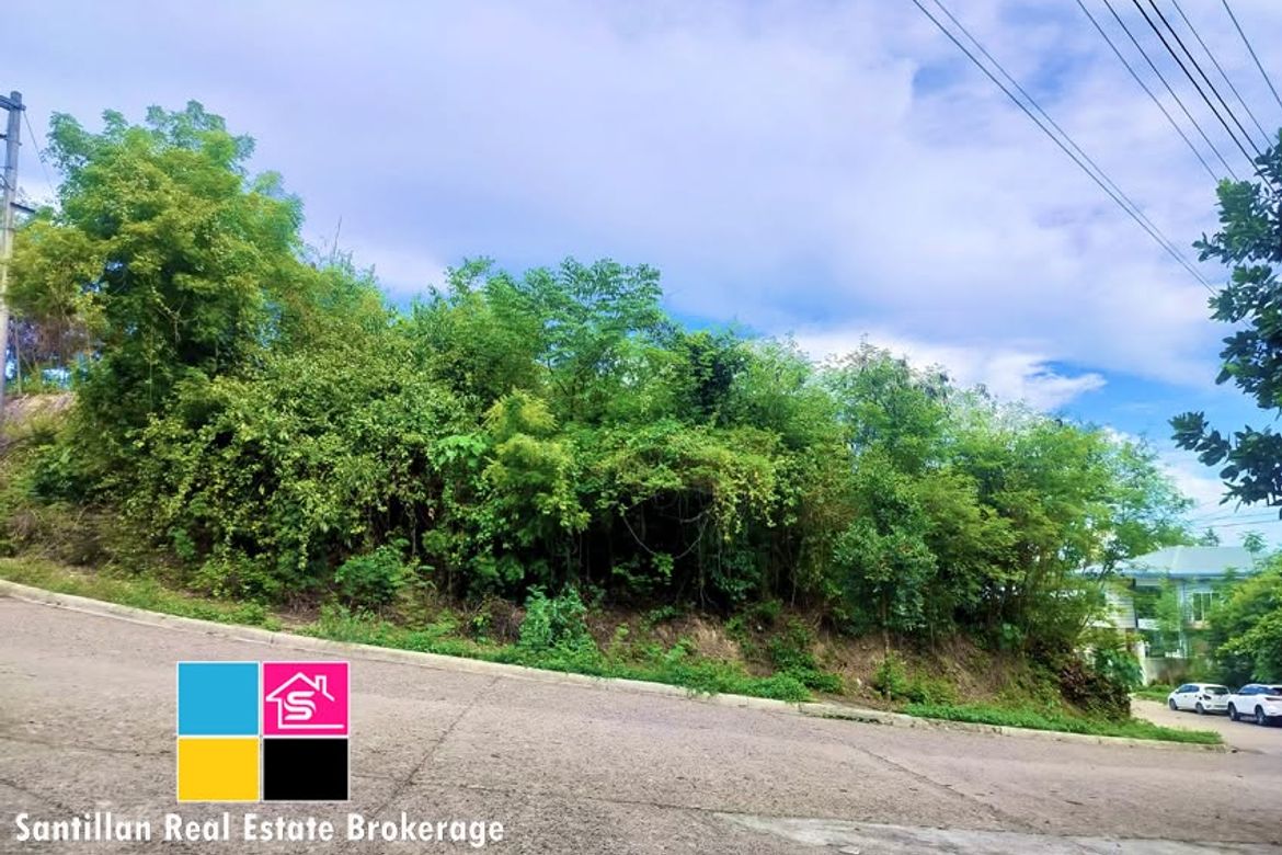 Land for Sale in MARIA LUISA NORTH -THE HERITAGE, Adlaon, Cebu City, Cebu – photo 6