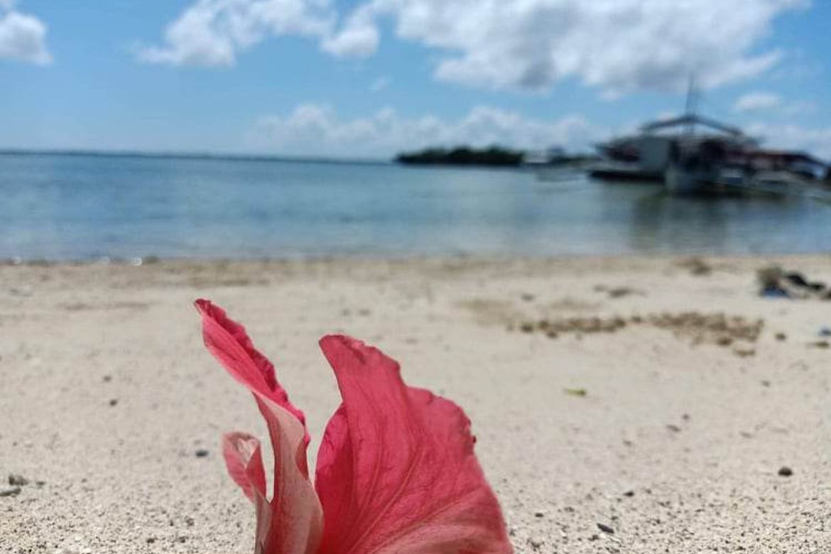 Land for Sale in Maribago, Lapu-Lapu, Cebu