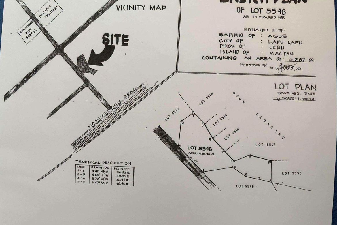 Land for Sale in Marigondon, Lapu-Lapu, Cebu – photo 3
