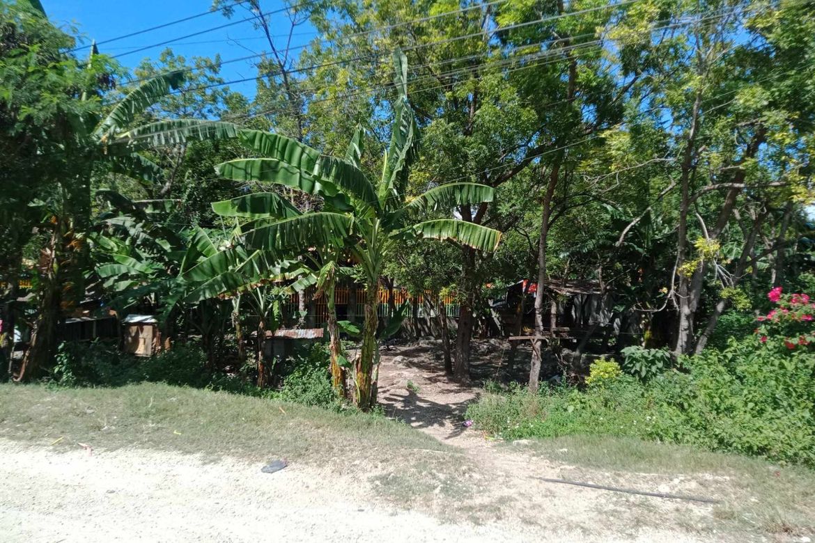 Land for Sale in Marigondon, Lapu-Lapu, Cebu – photo 3