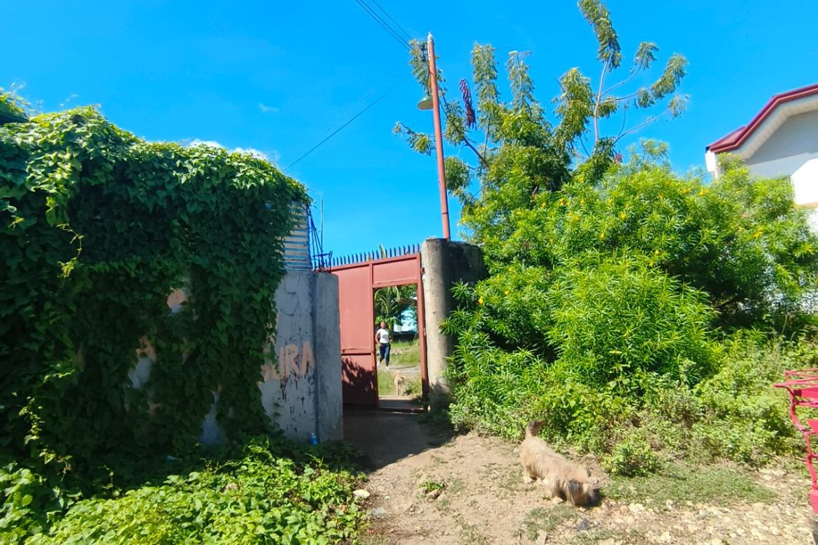 Land for Sale in Marigondon, Lapu-Lapu, Cebu – photo 2