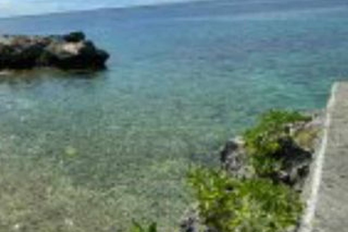 Land for Sale in Marigondon, Lapu-Lapu, Cebu – photo 7