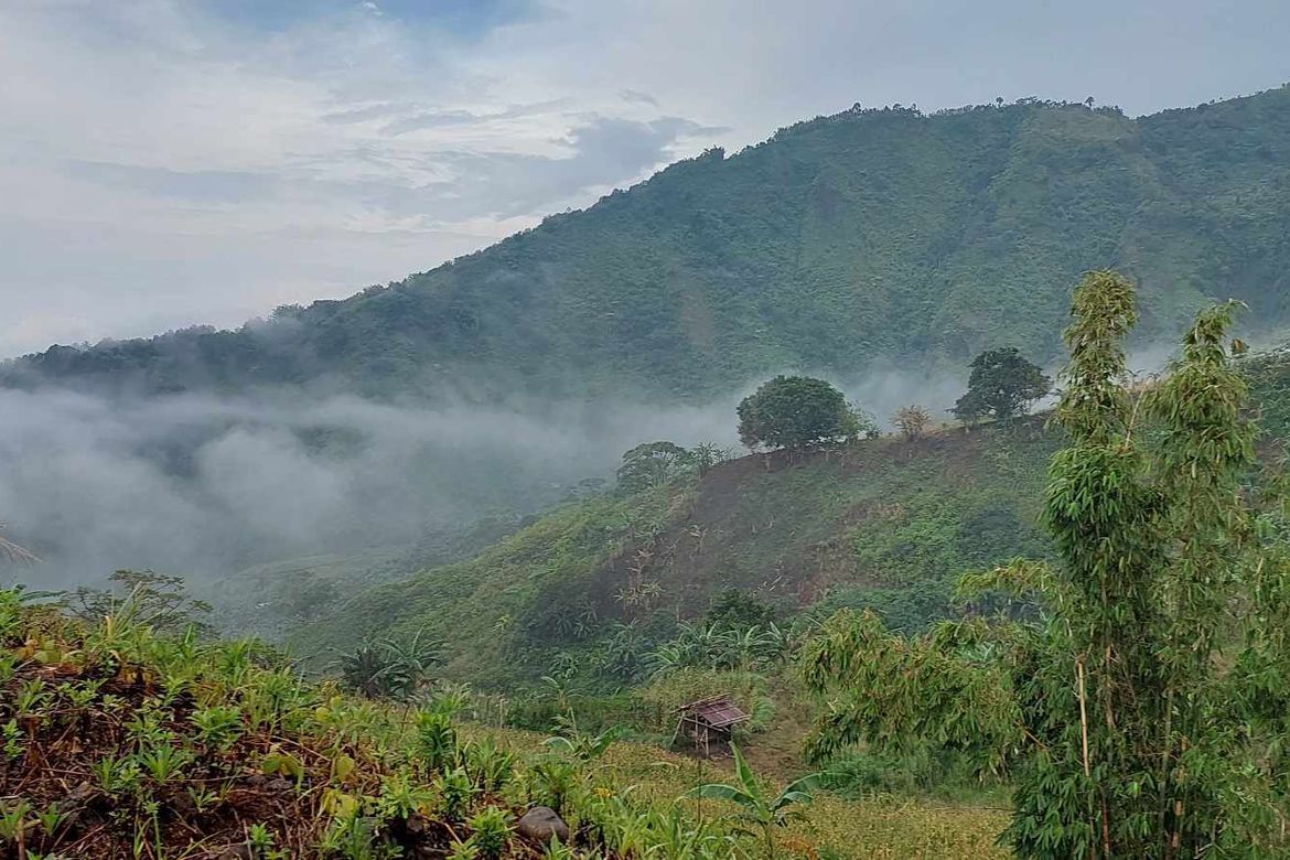 Land for Sale in Marilog, Davao City, Davao del Sur
