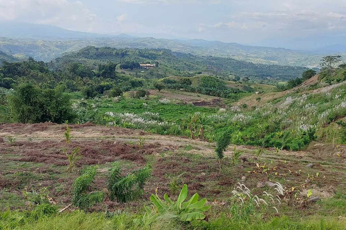 Land for Sale in Marilog, Davao City, Davao del Sur – photo 2