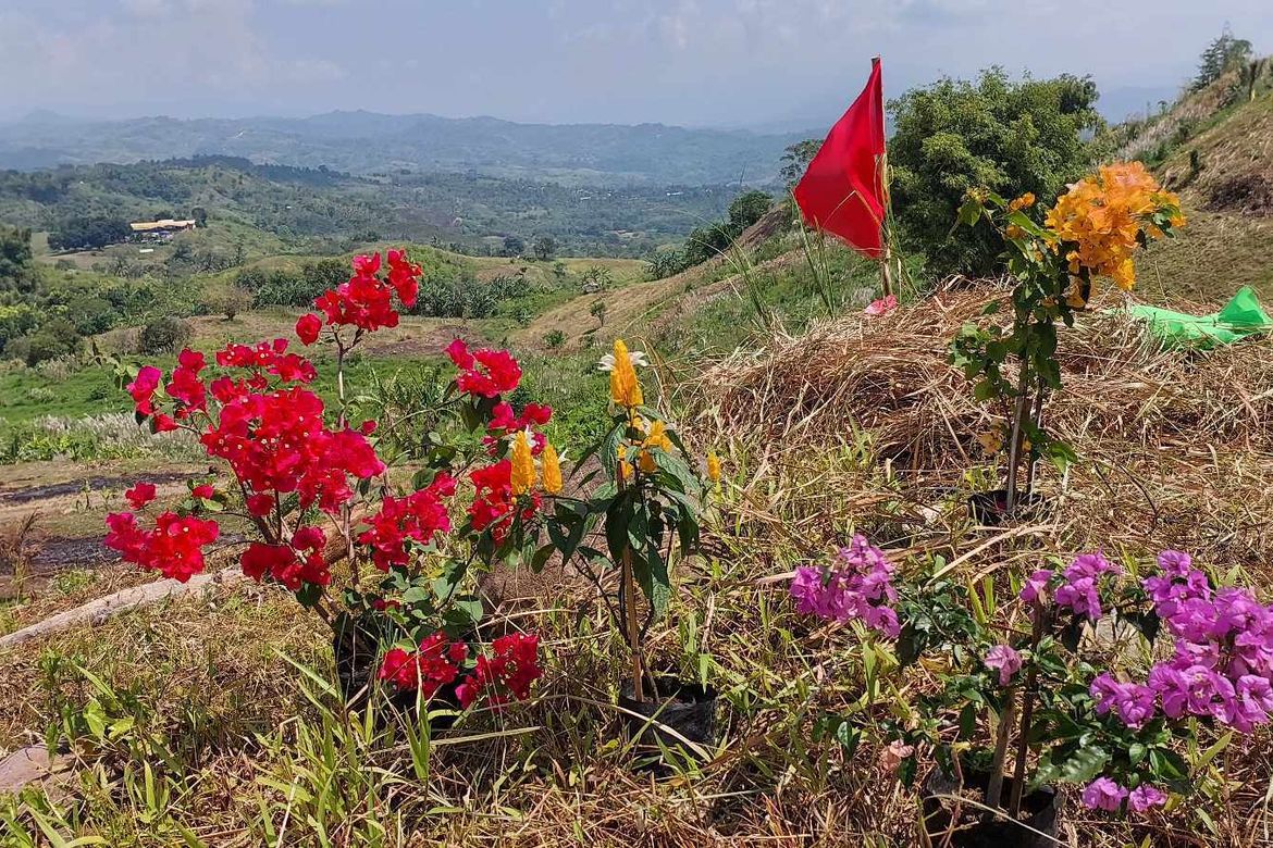 Land for Sale in Marilog, Davao City, Davao del Sur – photo 6