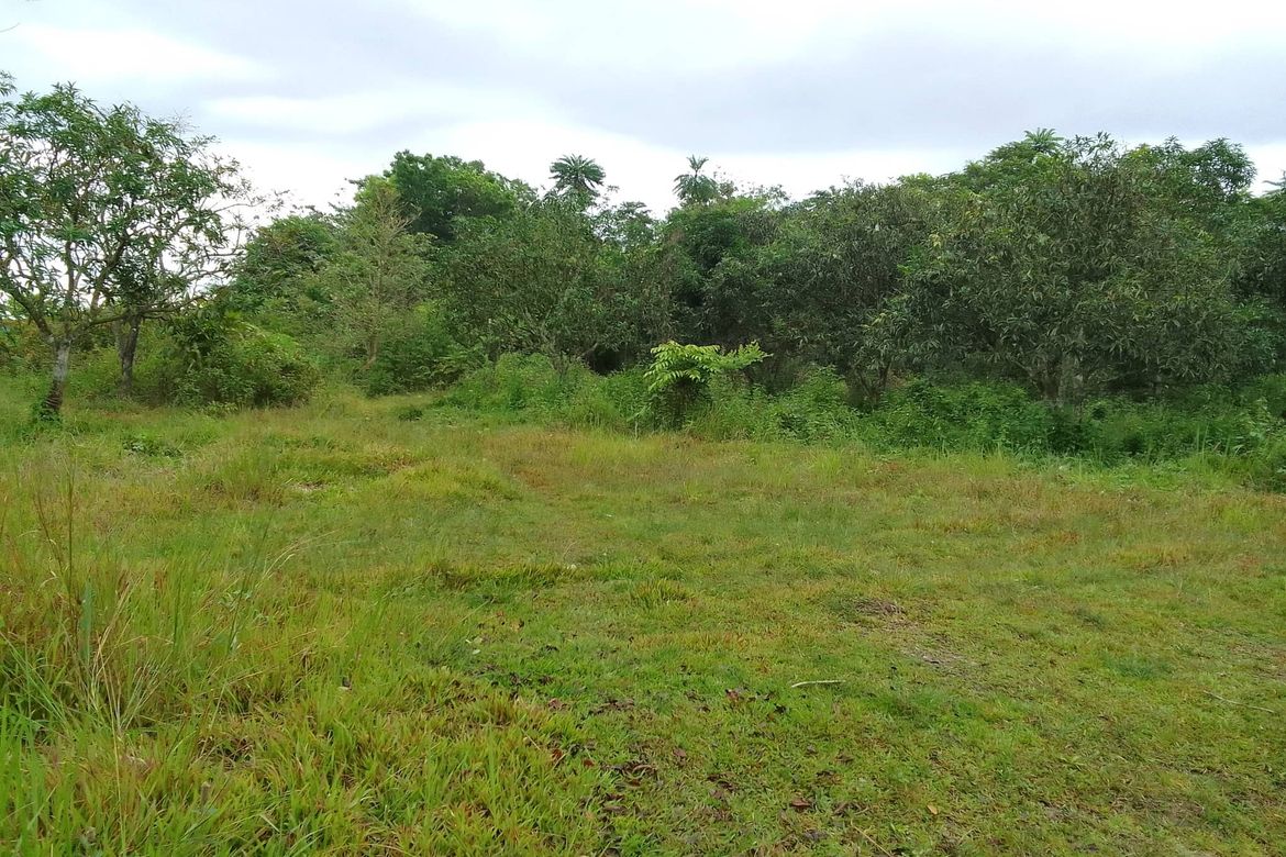 Land for Sale in Marilog, Davao City, Davao del Sur