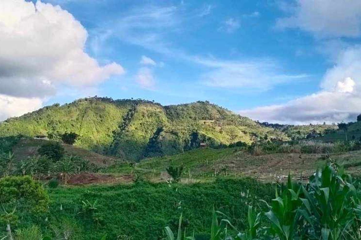 Land for Sale in Marilog, Davao City, Davao del Sur – photo 4